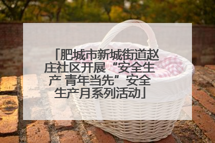 肥城市新城街道赵庄社区开展“安全生产 青年当先”安全生产月系列活动