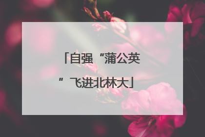 自强“蒲公英”飞进北林大