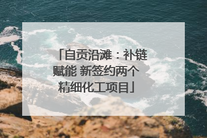 自贡沿滩：补链赋能 新签约两个精细化工项目