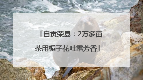 自贡荣县：2万多亩茶用栀子花吐露芳香