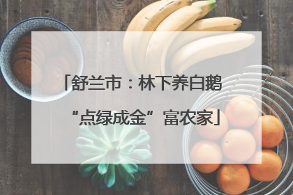 舒兰市：林下养白鹅 “点绿成金”富农家