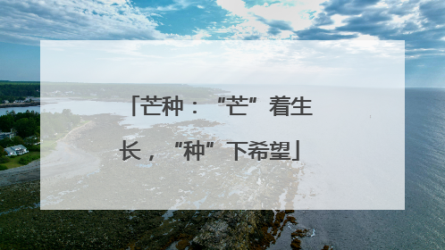 芒种：“芒”着生长，“种”下希望