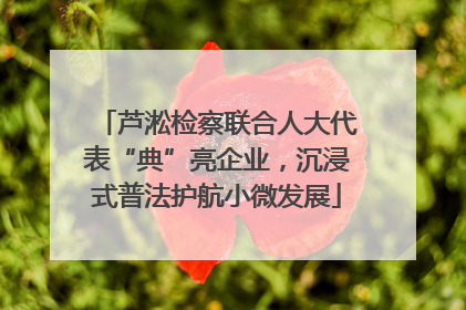 芦淞检察联合人大代表“典”亮企业，沉浸式普法护航小微发展