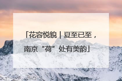 花容悦貌｜夏至已至，南京“荷”处有美韵