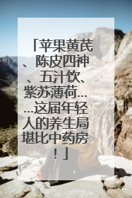 苹果黄芪、陈皮四神、五汁饮、紫苏薄荷……这届年轻人的养生局堪比中药房！