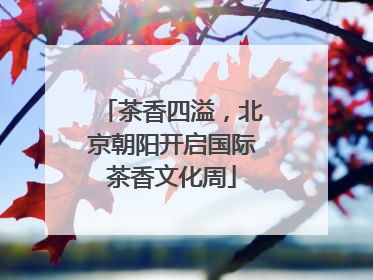 茶香四溢，北京朝阳开启国际茶香文化周