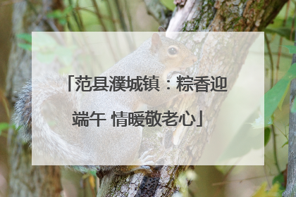 范县濮城镇：粽香迎端午 情暖敬老心