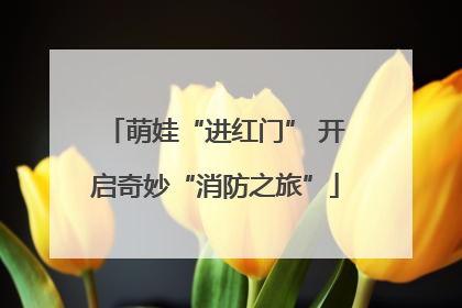 萌娃“进红门” 开启奇妙“消防之旅”