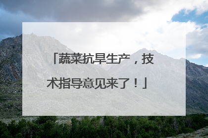 蔬菜抗旱生产，技术指导意见来了！