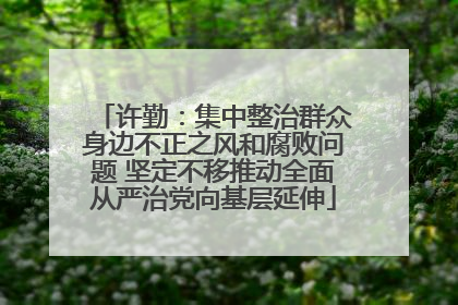 许勤：集中整治群众身边不正之风和腐败问题 坚定不移推动全面从严治党向基层延伸