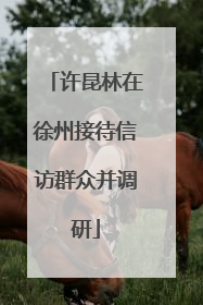 许昆林在徐州接待信访群众并调研
