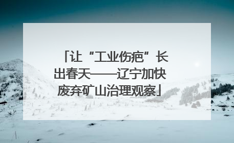 让“工业伤疤”长出春天——辽宁加快废弃矿山治理观察