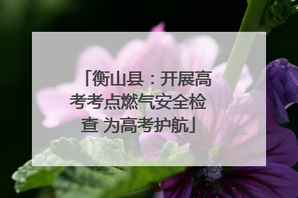 衡山县：开展高考考点燃气安全检查 为高考护航