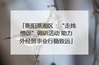 衡阳蒸湘区：“走找想促”调研活动 助力外经贸事业行稳致远