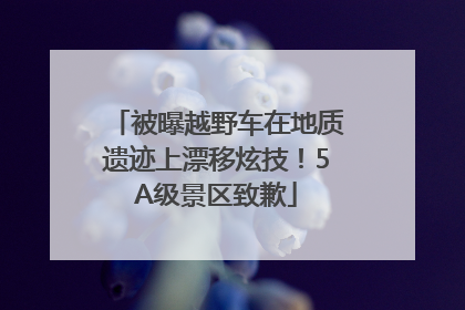 被曝越野车在地质遗迹上漂移炫技！5A级景区致歉