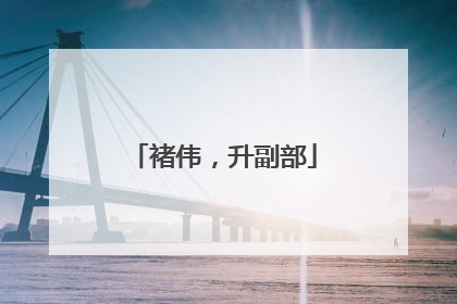 褚伟，升副部