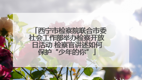 西宁市检察院联合市委社会工作部举办检察开放日活动 检察官讲述如何保护“少年的你”