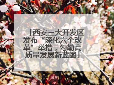 西安三大开发区发布“深化六个改革”举措，勾勒高质量发展新蓝图