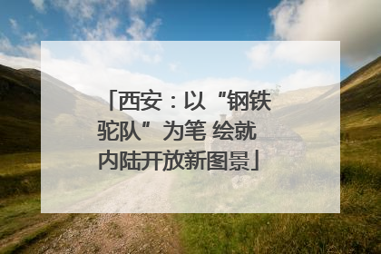西安：以“钢铁驼队”为笔 绘就内陆开放新图景