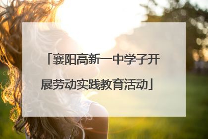 襄阳高新一中学子开展劳动实践教育活动
