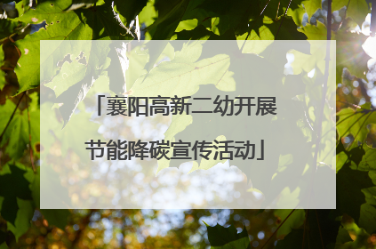 襄阳高新二幼开展节能降碳宣传活动