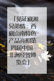 见证藏湘兄弟情：西藏山南特色产品亮相第四届中国-非洲经贸博览会
