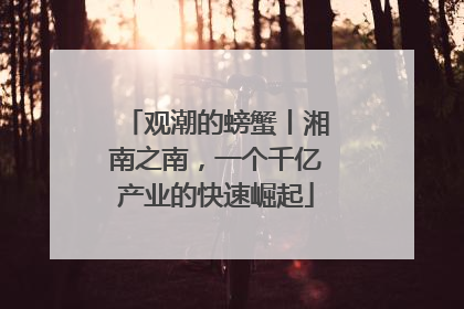 观潮的螃蟹丨湘南之南，一个千亿产业的快速崛起
