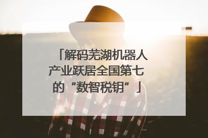 解码芜湖机器人产业跃居全国第七的“数智税钥”