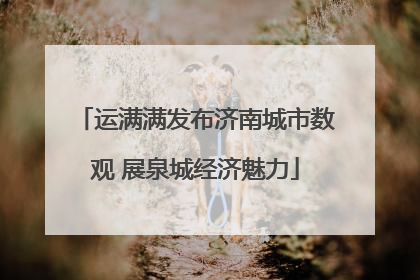运满满发布济南城市数观 展泉城经济魅力