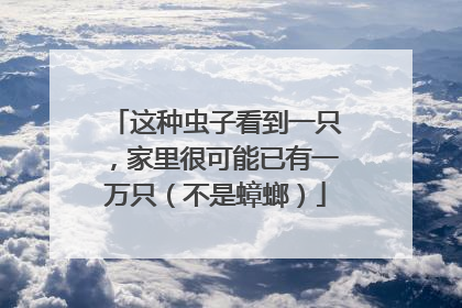 这种虫子看到一只，家里很可能已有一万只（不是蟑螂）