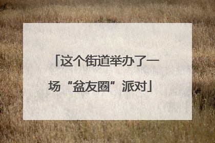 这个街道举办了一场“盆友圈”派对