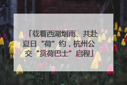 载着西湖烟雨、共赴夏日“荷”约，杭州公交“赏荷巴士”启程