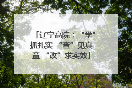 辽宁高院：“学”抓扎实 “查”见真章 “改”求实效