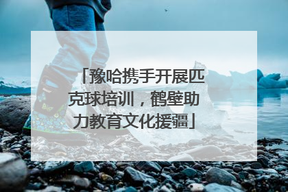 豫哈携手开展匹克球培训，鹤壁助力教育文化援疆
