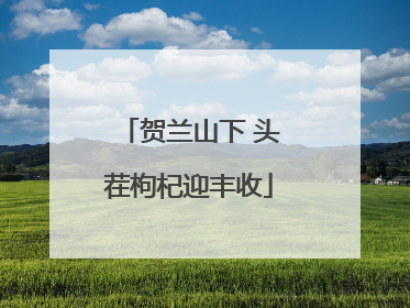 贺兰山下 头茬枸杞迎丰收