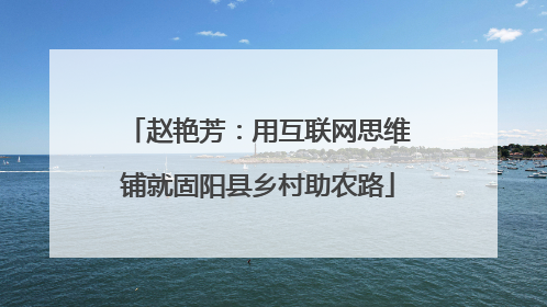 赵艳芳：用互联网思维铺就固阳县乡村助农路