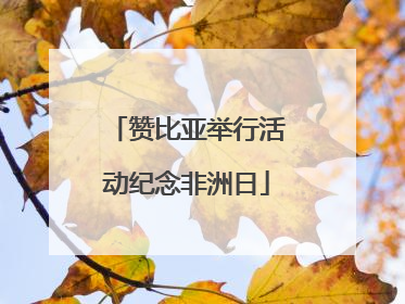 赞比亚举行活动纪念非洲日