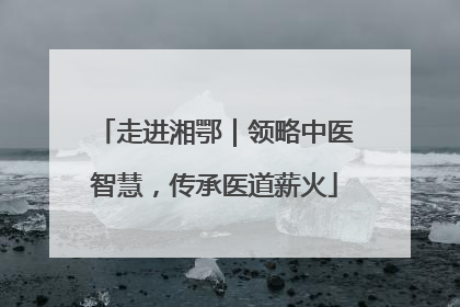 走进湘鄂｜领略中医智慧，传承医道薪火
