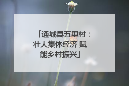 通城县五里村：壮大集体经济 赋能乡村振兴