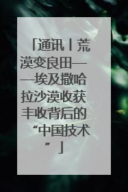 通讯丨荒漠变良田——埃及撒哈拉沙漠收获丰收背后的“中国技术”