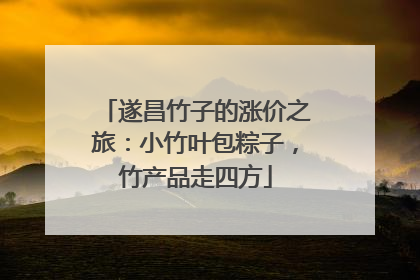 遂昌竹子的涨价之旅：小竹叶包粽子，竹产品走四方