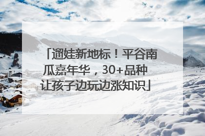 遛娃新地标！平谷南瓜嘉年华，30+品种让孩子边玩边涨知识