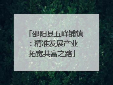 邵阳县五峰铺镇：精准发展产业 拓宽共富之路
