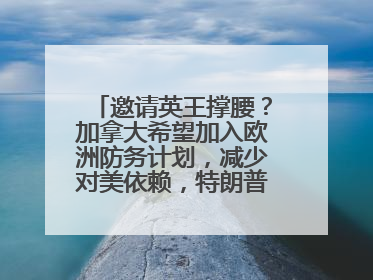 邀请英王撑腰？加拿大希望加入欧洲防务计划，减少对美依赖，特朗普：成为美国第51个州，免费用“金穹”