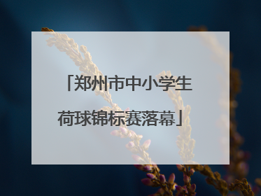 郑州市中小学生荷球锦标赛落幕