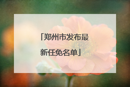 郑州市发布最新任免名单