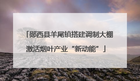 郧西县羊尾镇搭建调制大棚激活烟叶产业“新动能”