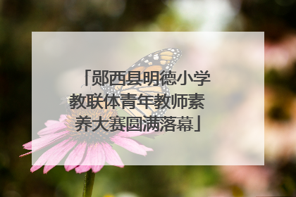郧西县明德小学教联体青年教师素养大赛圆满落幕