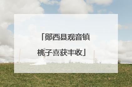 郧西县观音镇桃子喜获丰收