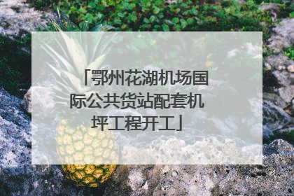 鄂州花湖机场国际公共货站配套机坪工程开工